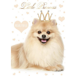 Dog Little Princess A4 elastic folder