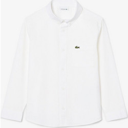 Lacoste παιδικό πουκάμισο button down με τσέπη και κεντημένο λογότυπο - CJ0945 Λευκό