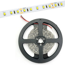 Avide LED Ταινία 12V 4.8W 6400K IP20 5m