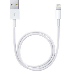 Apple Charge Cable USB to Lightning Λευκό 0.5m (ME291ZM/A) (APPME291ZM/A)