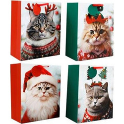 Τσάντα δώρου χαρτ.CAT w/HAT 26X33 - Plastona