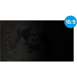 Natec Owl Privacy Filter 27" (NFP-2118)