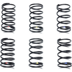 ON-ROAD TUNED SPRING SET (4WD/FWD TOURING & RALLY CAR) - TAMIYA 53163
