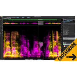 Steinberg SpectraLayers Pro 13 Comp. CG