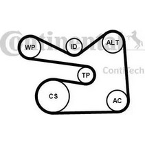 CONTINENTAL 6PK1733K3 - ΣΕΤ ΙΜΑΝΤΩΝ POLY-V VAG GROUP A3-Leon-Golf