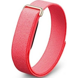 Google Fitbit Air Berry
