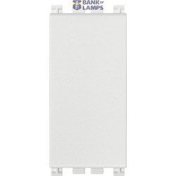 Blank module white