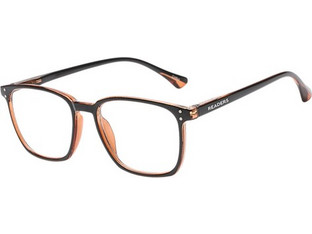 Readers BL246 Brown Γυαλιά Πρεσβυωπίας +2.00 Καφέ
