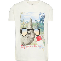 Name It Παιδικό T-Shirt Κοντομάνικο 13163507