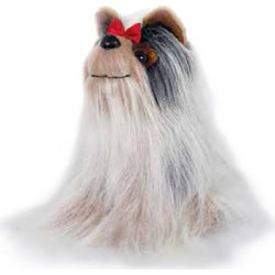 Semo Σκυλάκι Yorkshire Terriers 019553