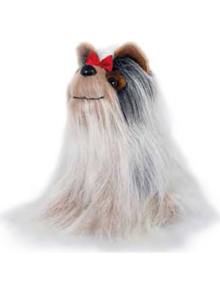Semo Σκυλάκι Yorkshire Terriers 019553
