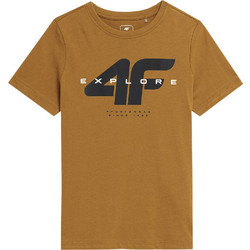 4F Παιδικό T-Shirt Κοντομάνικο Ταμπά JSS23T-TSHM290-82S