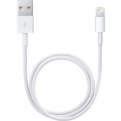 Foxconn USB-A to Lightning Cable 2m White MD818ZM/A