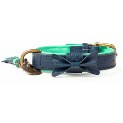 Dwam Buster Δερμάτινο Κολάρο Σκύλου Μπλε 2.5x32-42cm