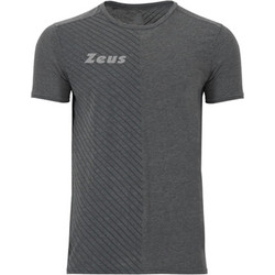 Zeus Gym Grey