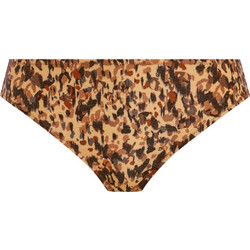 Freya Bikini Slip Animal Print Ταμπά AS206170-DNE