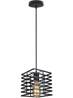 Led7 Caroline 101322