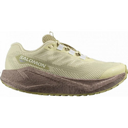 Salomon Aero Blaze 3 GORE-TEX Γυναικεία Αθλητικά Παπούτσια Trail Running Εκρού L47978400