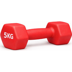 Energy GA0135KG Βαράκι Εξάγωνο Πλαστικοποιημένο 5kg