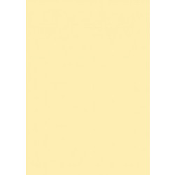 Canson Colorline Χαρτόνι Κανσόν Κίτρινο 50x70cm 105741003