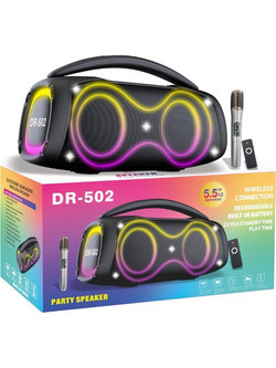 DR-502 Σύστημα Καραόκε με Ασύρματο Μικρόφωνο