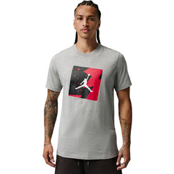 Jordan Poolside Ανδρικό Αθλητικό T-Shirt Γκρι CJ6244-063