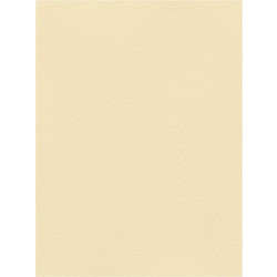 Favini Χαρτόνι Κανσόν Μπεζ 70x100cm 831.70100.04T