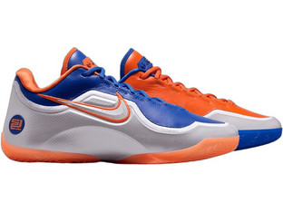 Nike LeBron 23 Ανδρικά Αθλητικά Παπούτσια για Μπάσκετ Ασημί IM5125-400