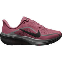 Nike Pegasus 42 Παιδικά Αθλητικά Παπούτσια για Τρέξιμο Ροζ Ανθρακί IH2306-600