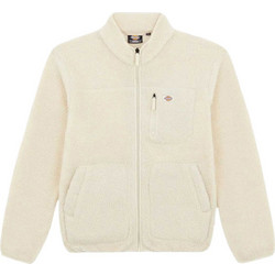 Dickies Ανδρικό Μπουφάν Χειμωνιάτικο Μπεζ DK0A4YEEF90