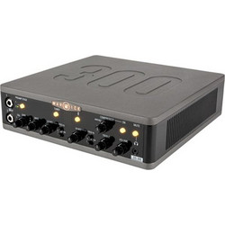 Warwick Stage Series DS-300