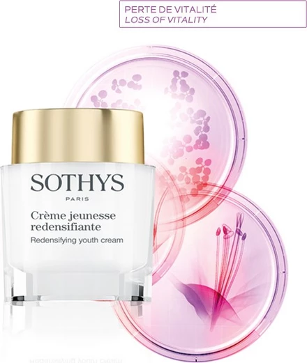 sothys-redensifying-youth-cream-50ml.webp