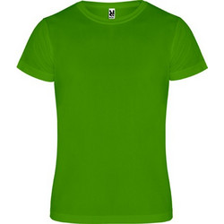 Roly Ανδρικό Αθλητικό T-Shirt Πράσινο CA0450-226