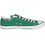 Converse Chuck Taylor All Star 1J792C
