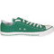 Converse Chuck Taylor All Star 1J792C