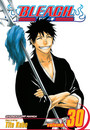 Bleach, Vol. 30 Bleach, Vol. 30