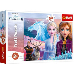 Παιδικό Puzzle Trefl Frozen II The Courage Of Sisters 30 Κομμάτια