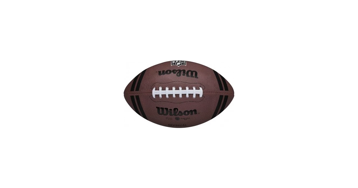 Wilson NFL Team Logo Tampa Bay Buccaneers Ball WTF1748XBTB