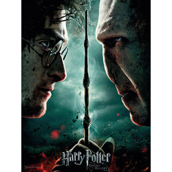 HARRY POTTER - GLASS PRINT - Harry / Voldemort - 30X40 Cm