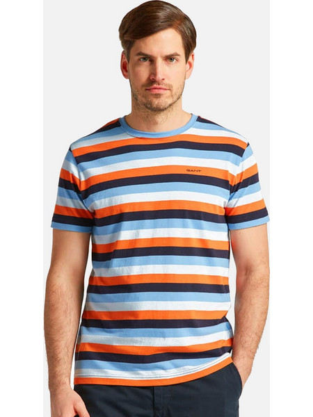 GANT Μπλούζα της σειράς Multi Striped - 2003169 105 Multicolor