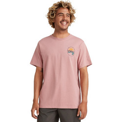 O'NEILL VINAS T-SHIRT 2850098-14023 Ροζ