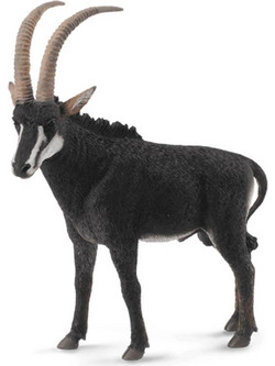 Collecta Γιγάντιος Ιππότραγος Αρσενικός Large 88564