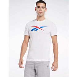 Reebok Graphic Ανδρικό Αθλητικό T-Shirt Λευκό 100065058