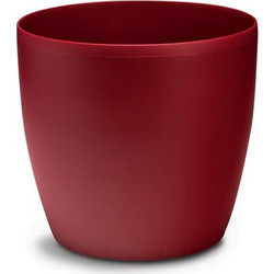 Mastershop Roto Κασπώ Dark Red/Μπορντώ Φ43 10.06.0105
