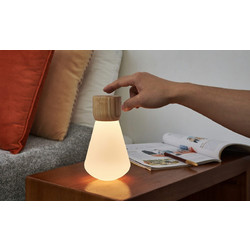 Pentagon Desk Bulb Gingko White ash G021AH1