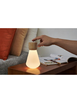 Pentagon Desk Bulb Gingko White ash G021AH1