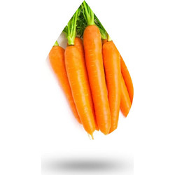 Καρότο (σπόρος)Carrot seed oil - 10 ml