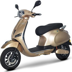 Daytona Dyneta 50 Gold