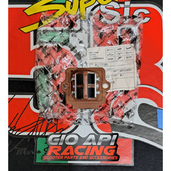 Ριντιερα (Βαλβίδα REED) Για Piaggio/Gilera/Vespa/Aprilia/Derbi 50-80-125-150-180cc Δίχρονα Μοντέλα Καινούργια Γνησιά