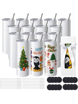 VEVOR 16 Pack ίσια ποτήρια εξάχνωσης, 20 ουγκιές κενό ποτηράκι χύδην, από ανοξείδωτο χάλυβα διπλού τοιχώματος ποτηράκια με άχυρο, καπάκι, βούρτσα, βάση, συρρικνωμένο περιτύλιγμα, κουτί δώρου, για πίεσ